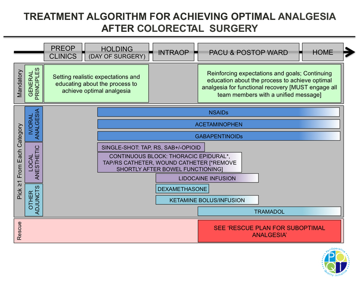 Figure 2. Suggested, risk-based algorithm for implementation of perioperative goal-directed in patients undergoing colorectal surgical procedures in the context of an Enhanced Recovery Protocol.