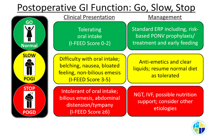 Figure 2.  A treatment algorithm was developed based on the I-FEED scoring system for the management of patients with impaired postoperative GI function according to the clinical presentation of the patient in real time.  (Abbreviations:  POGI - Postoperative GI Intolerance, POGD - Postoperative GI Dysfunction, ERP - enhanced recovery protocol, PONV - postoperative nausea and vomiting, NGT - nasogastric tube, IVF - intravenous fluids)